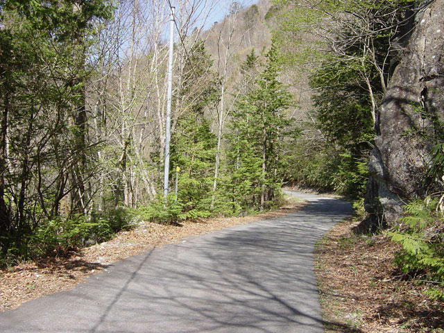 ����X�ѓS��,�ѓS,,�O����,�p����,�ؑ]�X