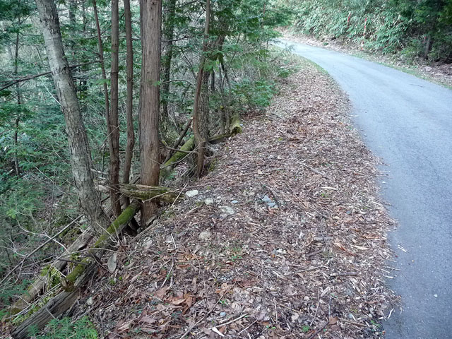 ����X�ѓS��,�ѓS,�؋�,�p����,�ؑ]�X,�V��,�W�ޑ���