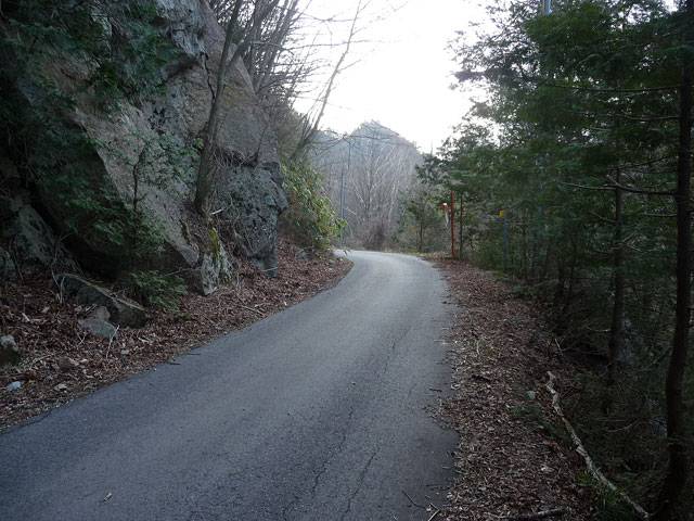 ����X�ѓS��,�ѓS,�؋�,�p����,�ؑ]�X,�V��,�W�ޑ���