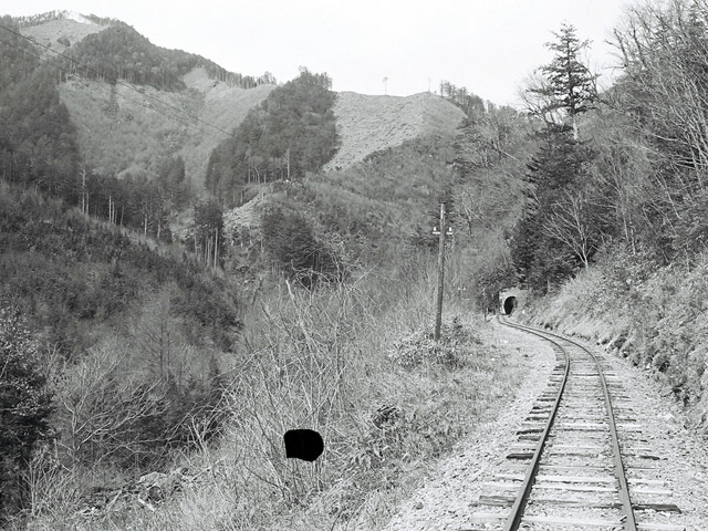 ����X�ѓS��,�ѓS,�|�C���g,�ؑ]�X,�W�ޑ���