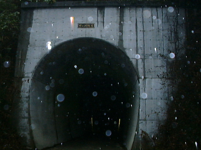 ����X�ѓS���{��,�ѓS,�p����,�I����詓�,�g���l��,�ؑ]�X