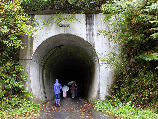 ����X�ѓS���{��,�ѓS,�p����,�I����詓�,�g���l��,�ؑ]�X,�B��