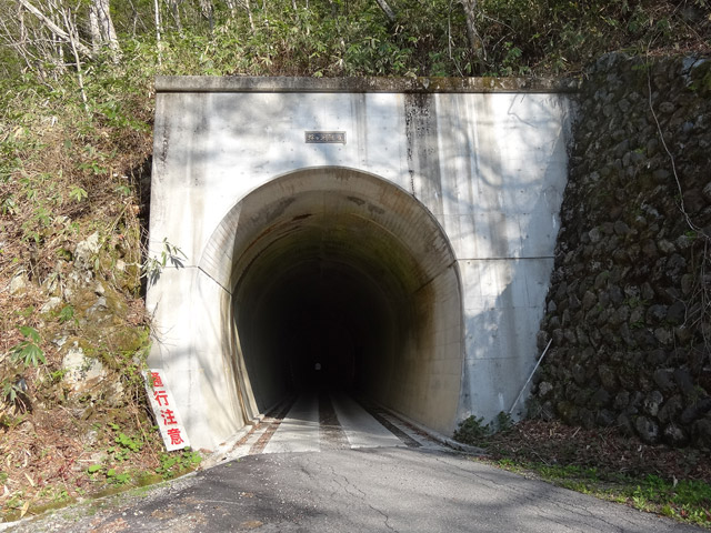 ����X�ѓS���{��,�ѓS,�p����,�I����詓�,�g���l��,�ؑ]�X,�B��