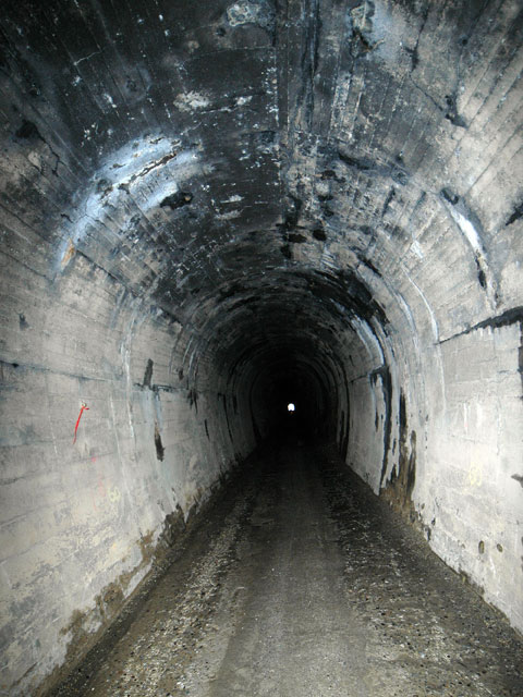 ����X�ѓS��,�ѓS,�p����,詓�,�I�����g���l��,���z,����