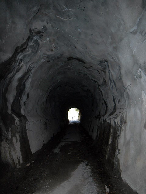 ����X�ѓS��,�ѓS,�p����,詓�,�I�����g���l��,�ؑ]�X,�O����