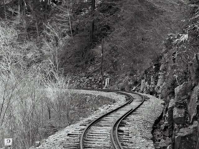 ����X�ѓS��,�ѓS,�Ȑ�,�ؑ]�X,���[��