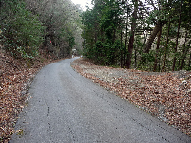 �ؑ]�X�ѓS�������,�ѓS,�I����ԏ�,�p����,��z�O�Y�ѓ�