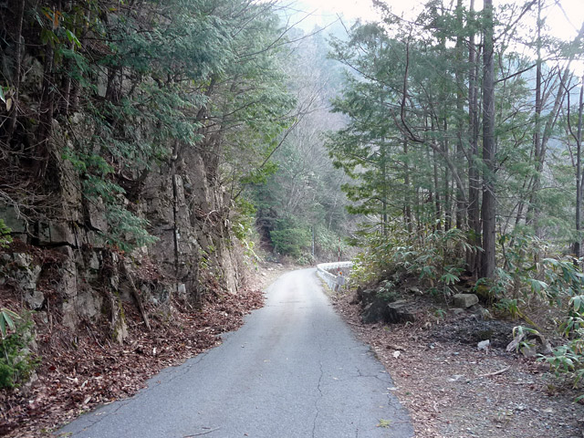 ����X�ѓS��,�ѓS,�I��,�p����,��z�O�Y�ѓ�,�ؑ]�X,�K�\�����J�[,����