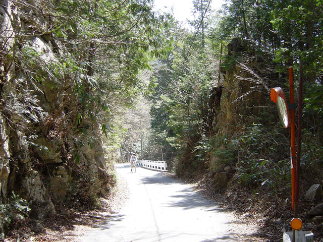 ����X�ѓS���{��,�ѓS,�p����,��z�O�Y�ѓ�,�ؑ]�X