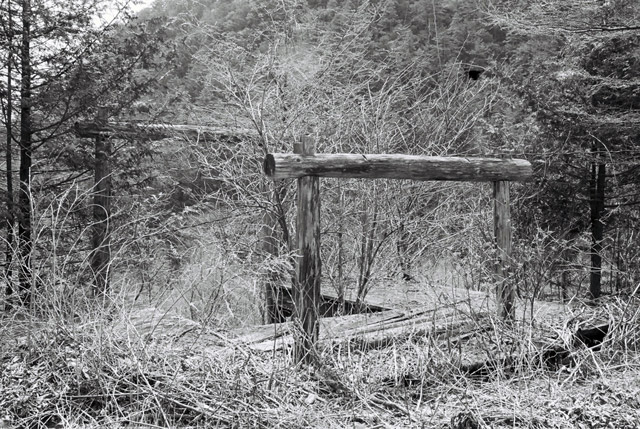 �ؑ]�X�ѓS�������,�ѓS,������,�Ց��,���I����ԏ�,�^��,����c�я�