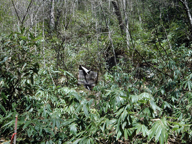 �ؑ]�X�ѓS�������,�ѓS,�搅,���I����ԏ�,�h�ߑ�