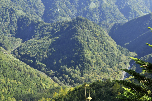 ����X�ѓS��,�p����,�ѓS,�ѓ�