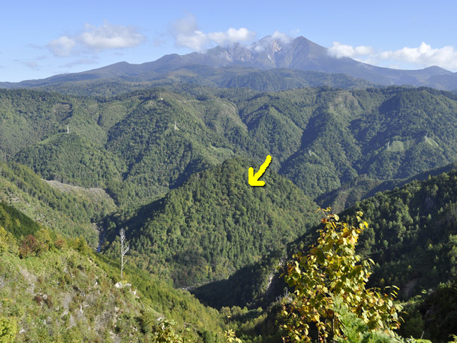 ����X�ѓS��,�p����,�ѓS,�ѓ�