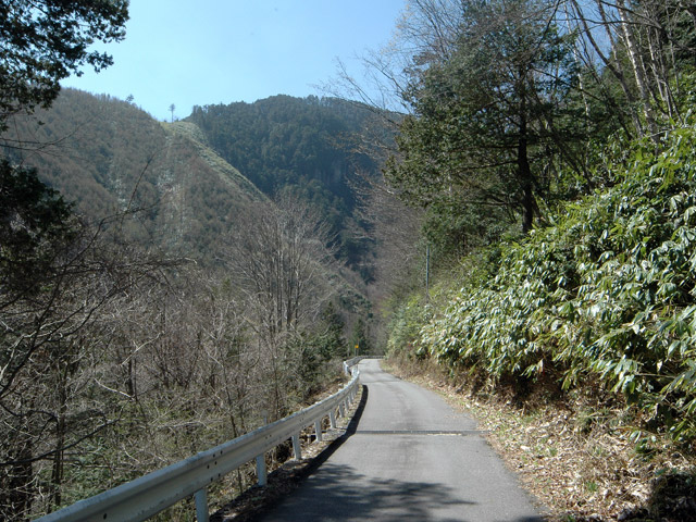 ����X�ѓS���u���I����ԏ�`����m����ԏ�v