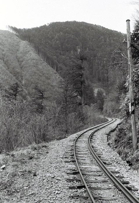 ����X�ѓS���u���I����ԏ�`����m����ԏ�v