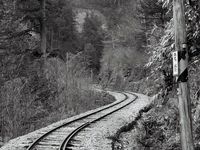 ����X�ѓS���u���I����ԏ�`����m����ԏ�v