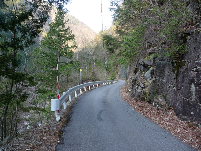 ����X�ѓS���u���I����ԏ�`����m����ԏ�v