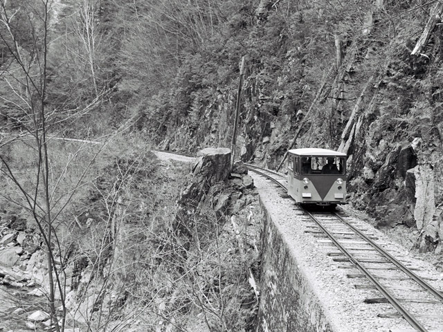 ����X�ѓS���u���I����ԏ�`����m����ԏ�v