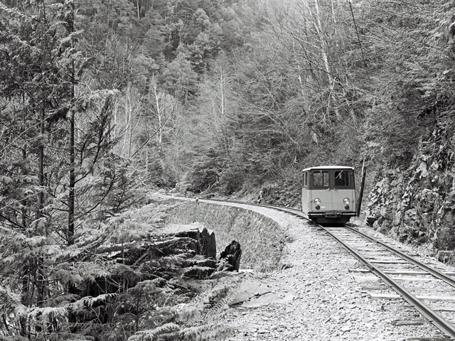 ����X�ѓS���u���I����ԏ�`����m����ԏ�v