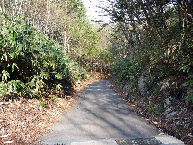 ����X�ѓS���u���I����ԏ�`����m����ԏ�v