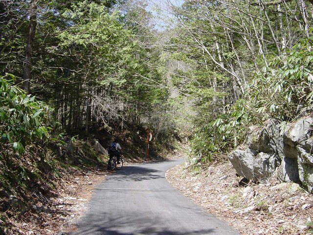 ����X�ѓS���u���I����ԏ�`����m����ԏ�v