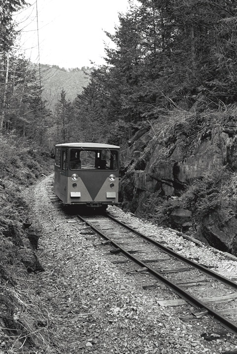 ����X�ѓS���u���I����ԏ�`����m����ԏ�v