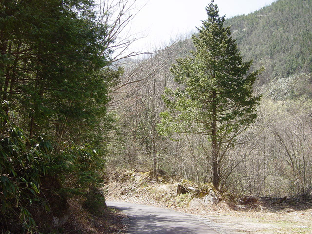 ����X�ѓS���u���I����ԏ�`����m����ԏ�v