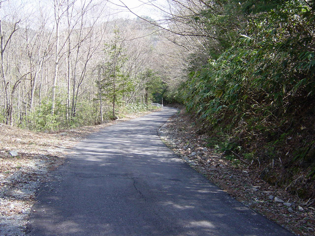 ����X�ѓS���u���I����ԏ�`����m����ԏ�v