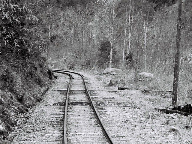 ����X�ѓS���u���I����ԏ�`����m����ԏ�v