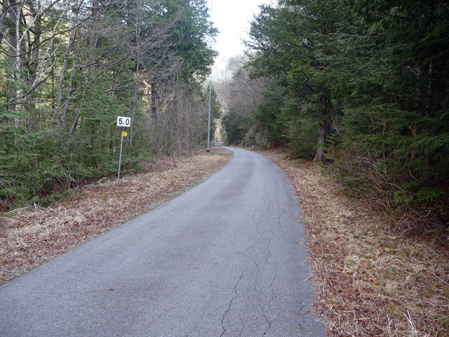 ����X�ѓS���{��,���E��m����ԏ�