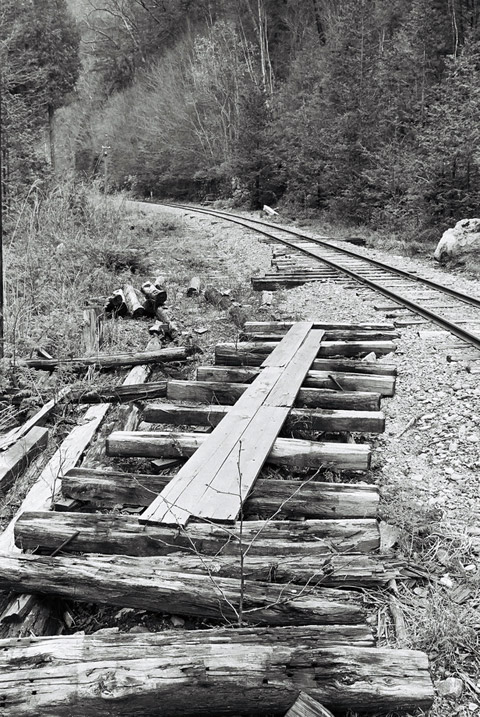 ����X�ѓS���{��,���E��m����ԏ�