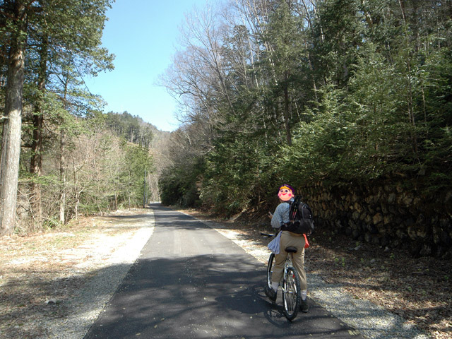 ����X�ѓS���{��,���E��m����ԏ�