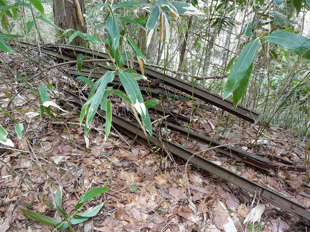 ����X�ѓS���{��,���E��m����ԏ�