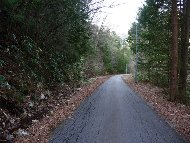 ����X�ѓS���{��,���E��m����ԏ�