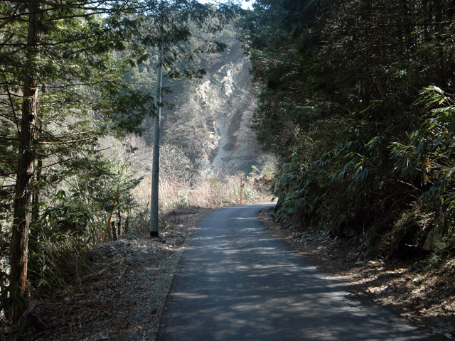 ����X�ѓS���u�I�����d�����`����m����ԏ�v