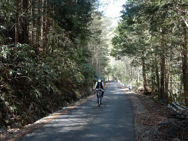 ����X�ѓS���u�I�����d�����`����m����ԏ�v