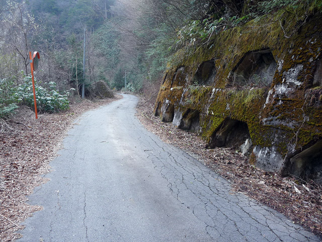 ����X�ѓS���u�I�����d�����`����m����ԏ�v