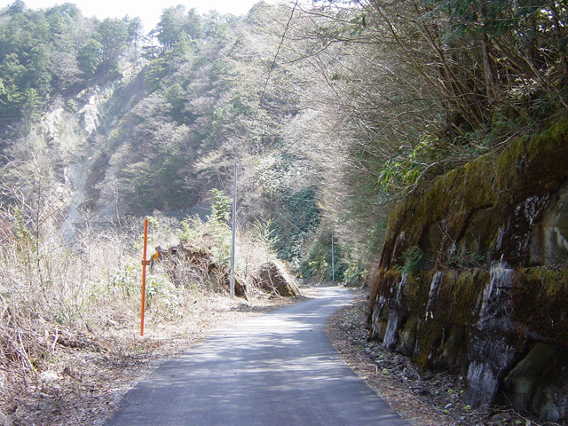 ����X�ѓS���u�I�����d�����`����m����ԏ�v