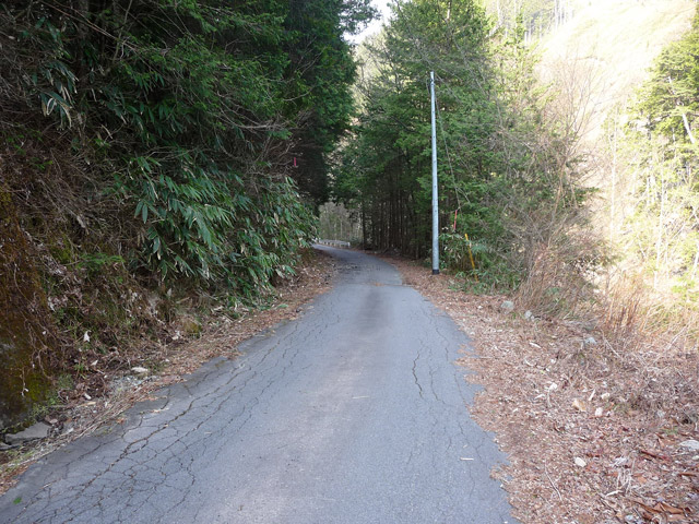 ����X�ѓS���u�I�����d�����`����m����ԏ�v