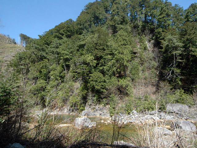 ����X�ѓS���u�I�����d�����`����m����ԏ�v