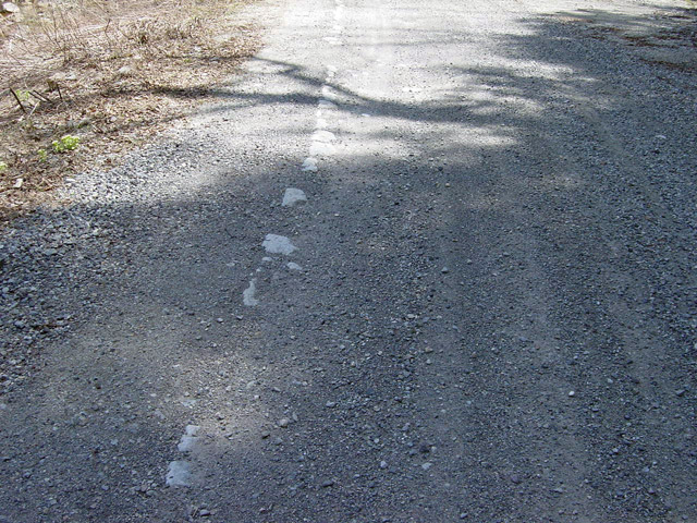 ����X�ѓS���{���u����m����ԏ�`��m����ԏ�v