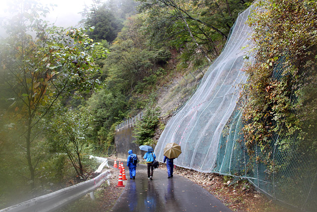 ����X�ѓS���{���u����m����ԏ�`��m����ԏ�v