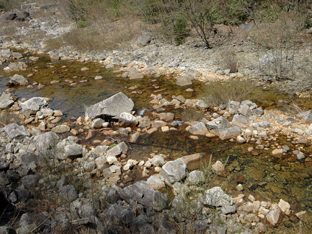 ����X�ѓS���{���u����m����ԏ�`��m����ԏ�v