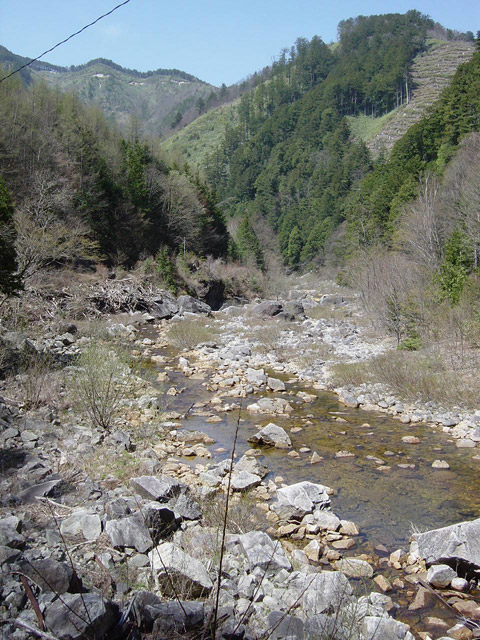 ����X�ѓS���{���u����m����ԏ�`��m����ԏ�v