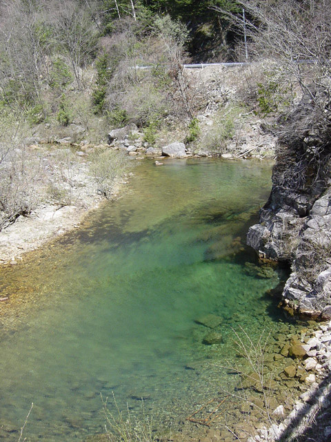 ����X�ѓS���{���u����m����ԏ�`��m����ԏ�v