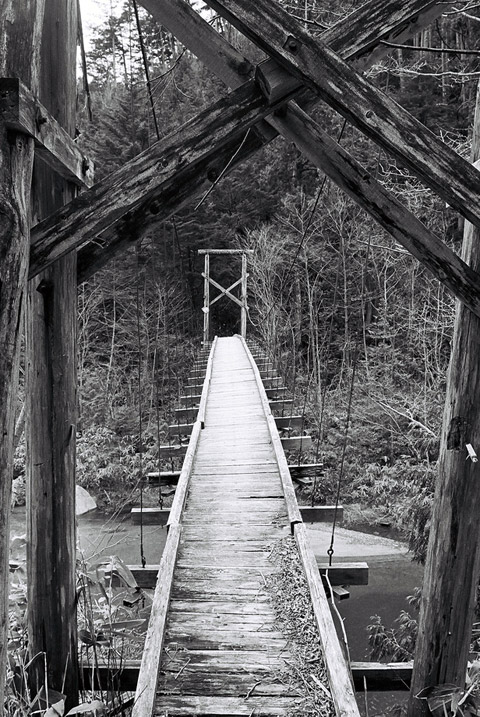 ����X�ѓS��,��m���򋴗�