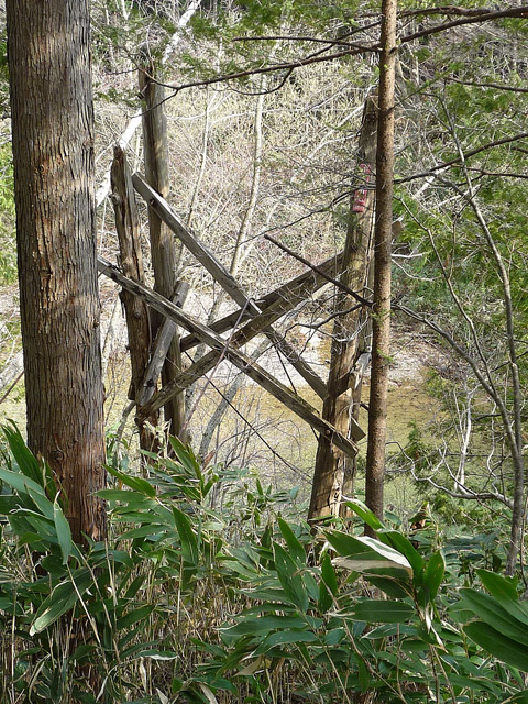 ����X�ѓS��,��m���򋴗�