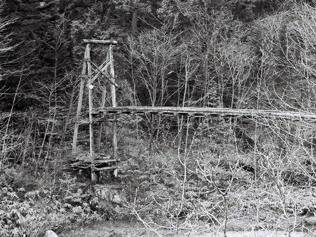 ����X�ѓS��,��m���򋴗�