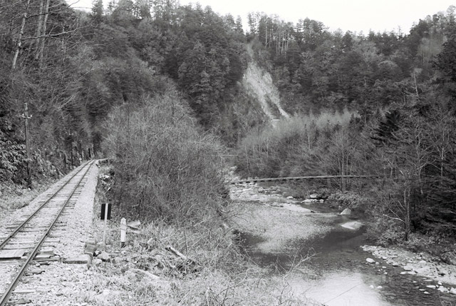 ����X�ѓS��,��m���򋴗�