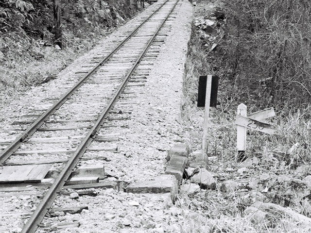 ����X�ѓS��,��m����ԏ�,�W��,���z�W